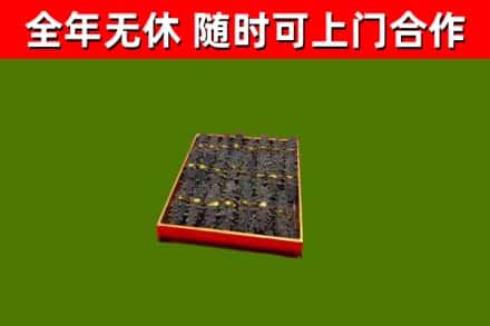 从化回收海参